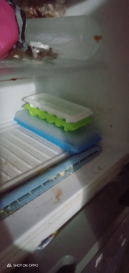 Cetakan Es Batu Jelly Agar-agar