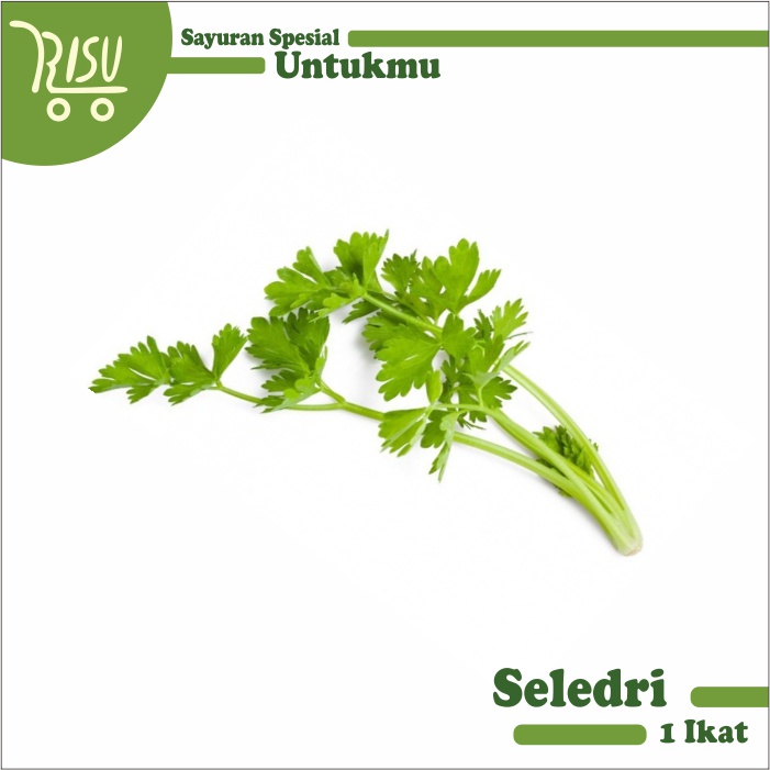 

Seledri Segar Murah 1 Ikat Celery Sayur Sayuran Berkualitas