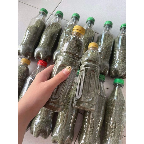 

bubuk ka ciang ma the best seller