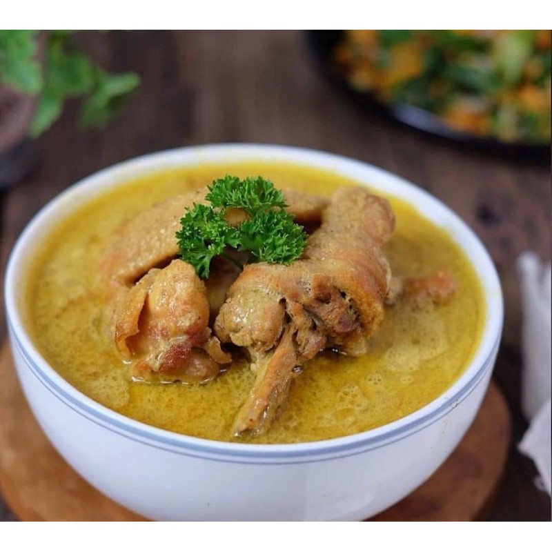 MENU ANAK &quot;OPOR AYAM ORGANIK&quot; (PORSI JUMBO 2-3X Makan)