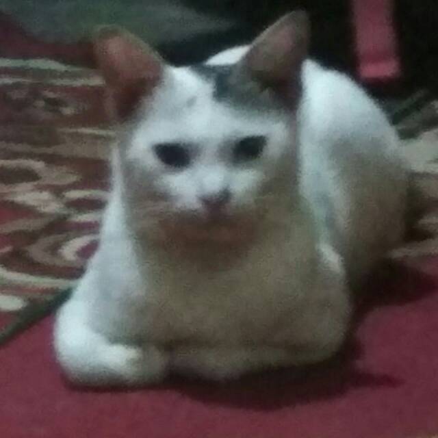tasyaabymanyu