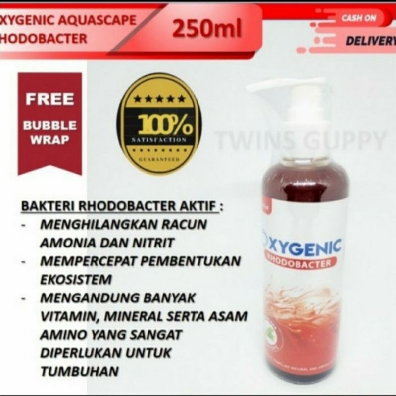 oxygenic aquarium aquascape Rhodobacter bacteri starter 250ml