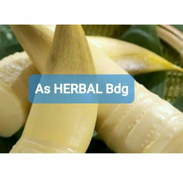 

Jual rebung sayur rebung bambu sayuran 1 kg sudah bersih