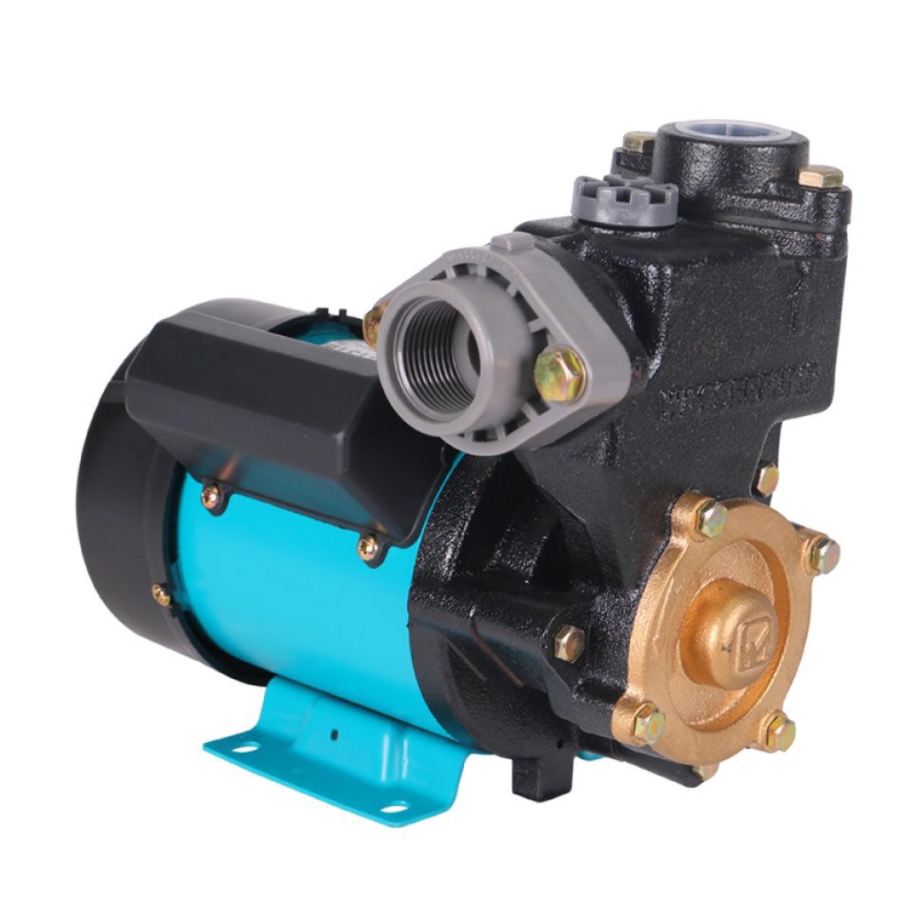 SHALLOW PUMP WASSER PW-131E/125W