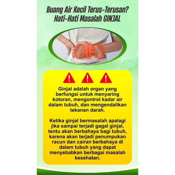 URINOGIN Herbal Kesehatan Ginjal Kencing Batu Peluruh Batu Ginjal