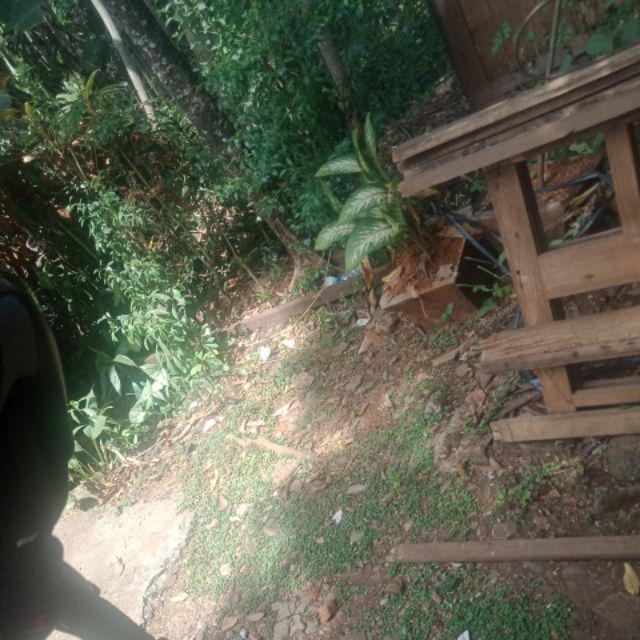 Kemeja Batik Sekar Jagad Biru