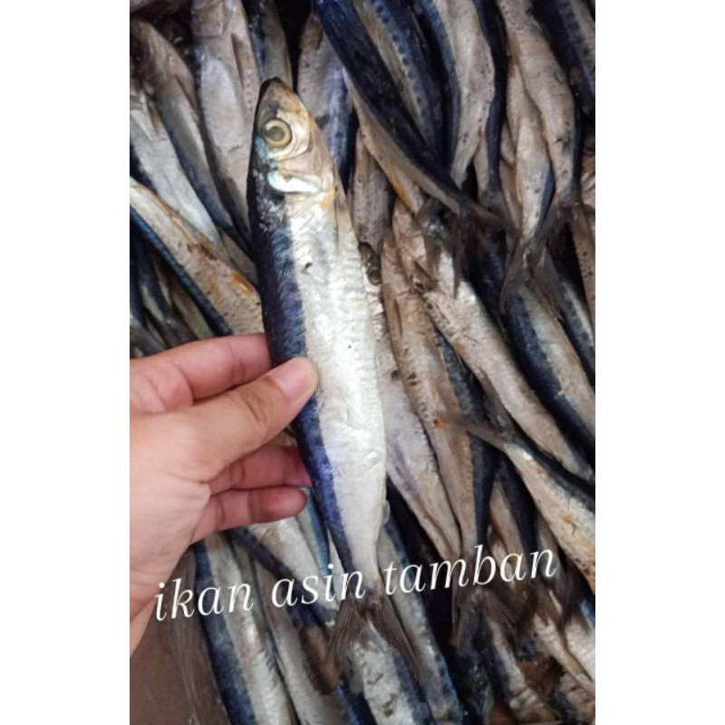 

Ikan Asin Tamban / Ikan Tamban Asin / Ikan Asin Pontianak / Ikan Asin Kalimantan Barat