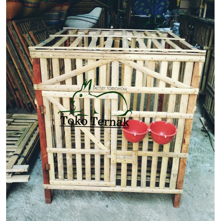 Kandang Ayam Jago Dari Bambu