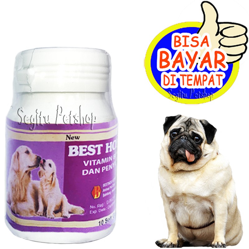 VITAMIN ANJING SUSAH KAWIN PENYUBUR OBAT BIRAHI BEST HORMO DOG SOFTGEL