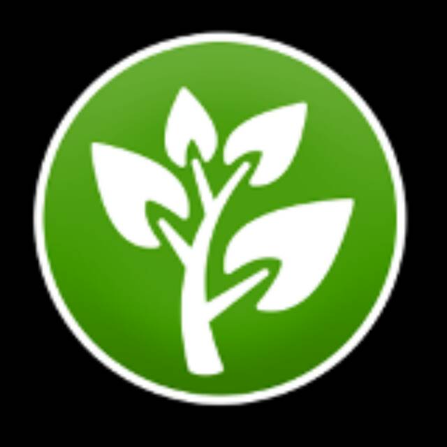 Paket 4 bibit kelengkeng