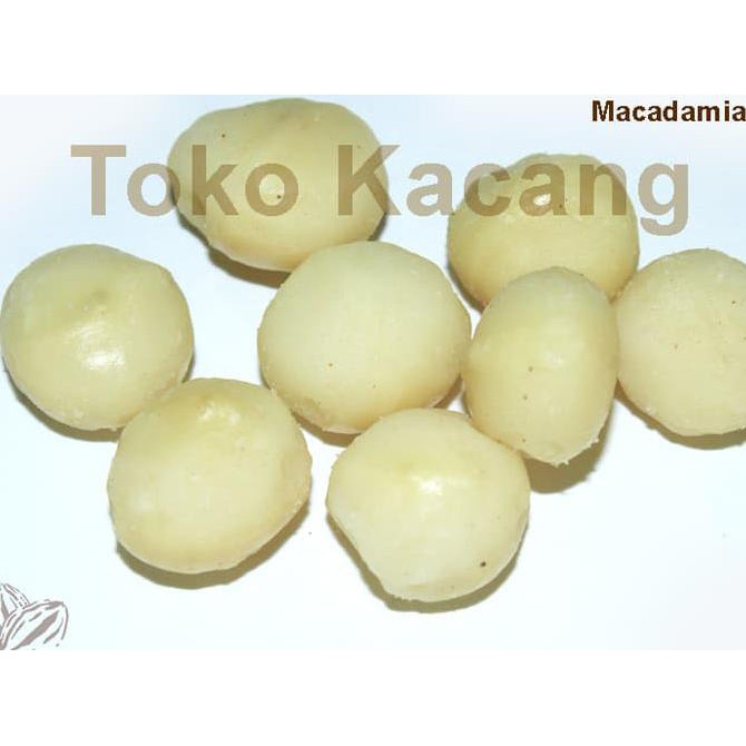 

Chasback Kacang Macadamia 250G Terlaris