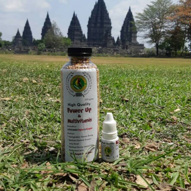 pakan ganas99 POWER UP