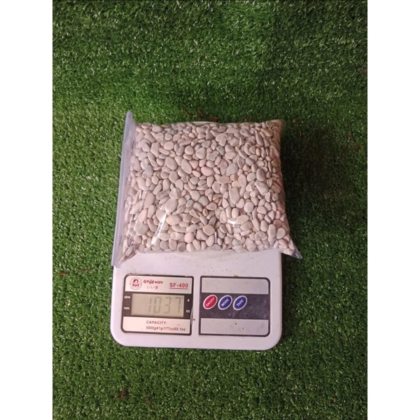 Batu coral putih kecil 1kg, batu taman kecil, batu sikat, batu teras