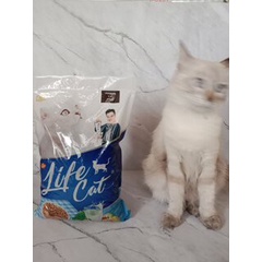 Life cat Dry Food 1 kg makanan kucing kering life cat premium 1 kg