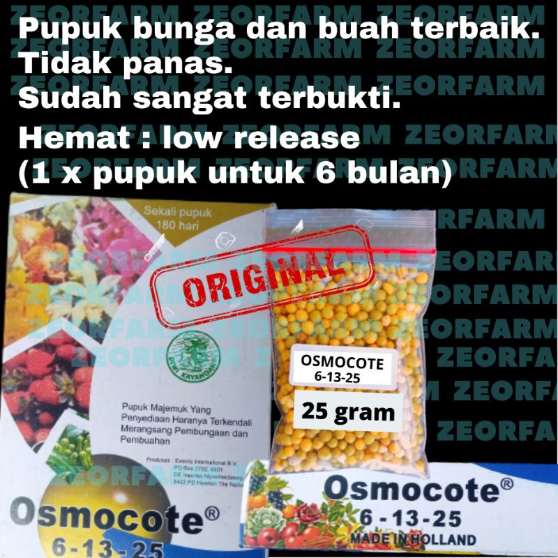 PUPUK PERANGSANG BUNGA DAN BUAH DECASTAR OSMOCOTE 6 13 25