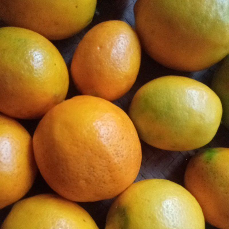 

lemon California 1 kg (Gratis Ongkir)