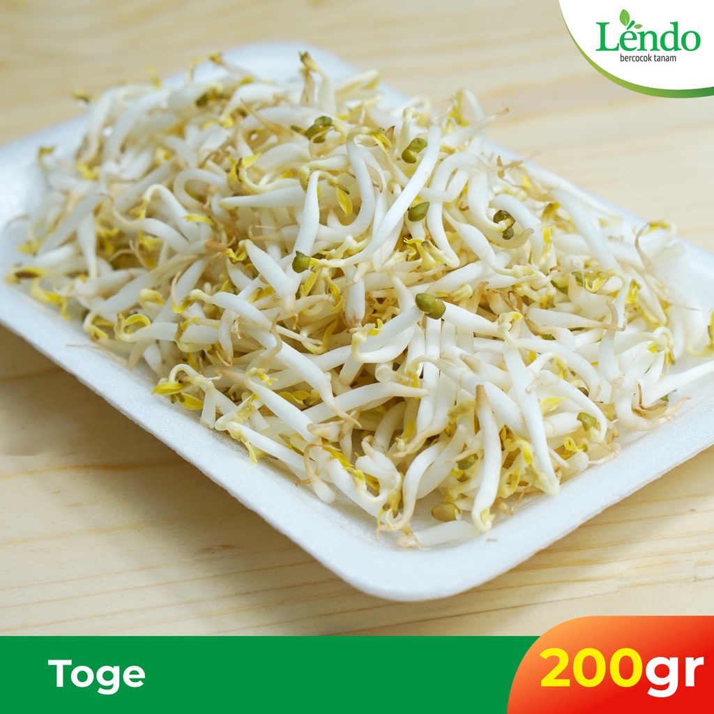 

Toge / Tauge