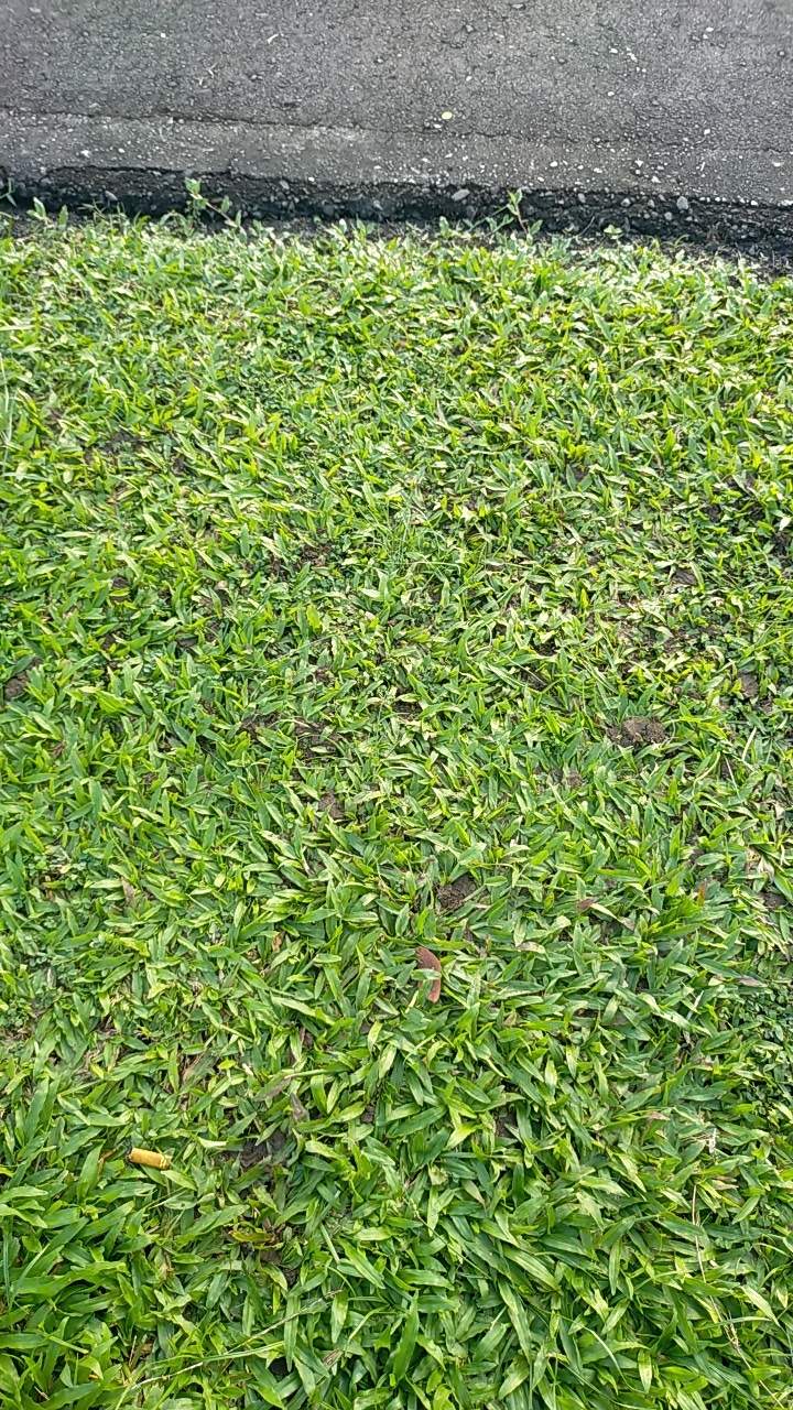 Batik Wanita - Atasan Batik 292 Gg New Arrival.