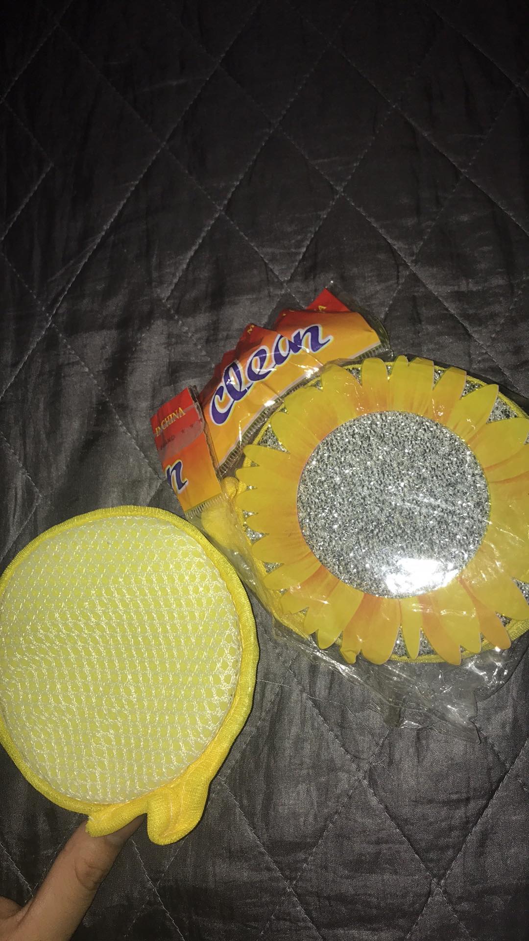 Spons Bulat Lap 2 Sisi Multifungsi Spon Piring Dan Lap