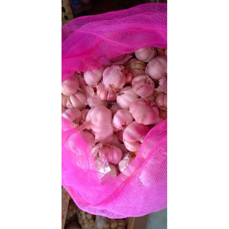 

bawang putih 1kg.