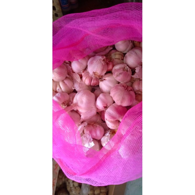 bawang putih 1kg