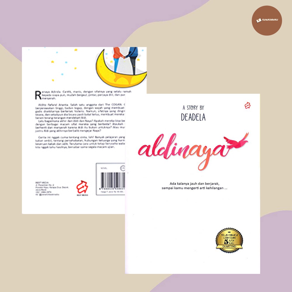 Buku Novel Aldinaya