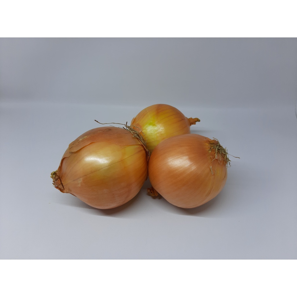 

Bawang Bombay Fresh Murah Meriah
