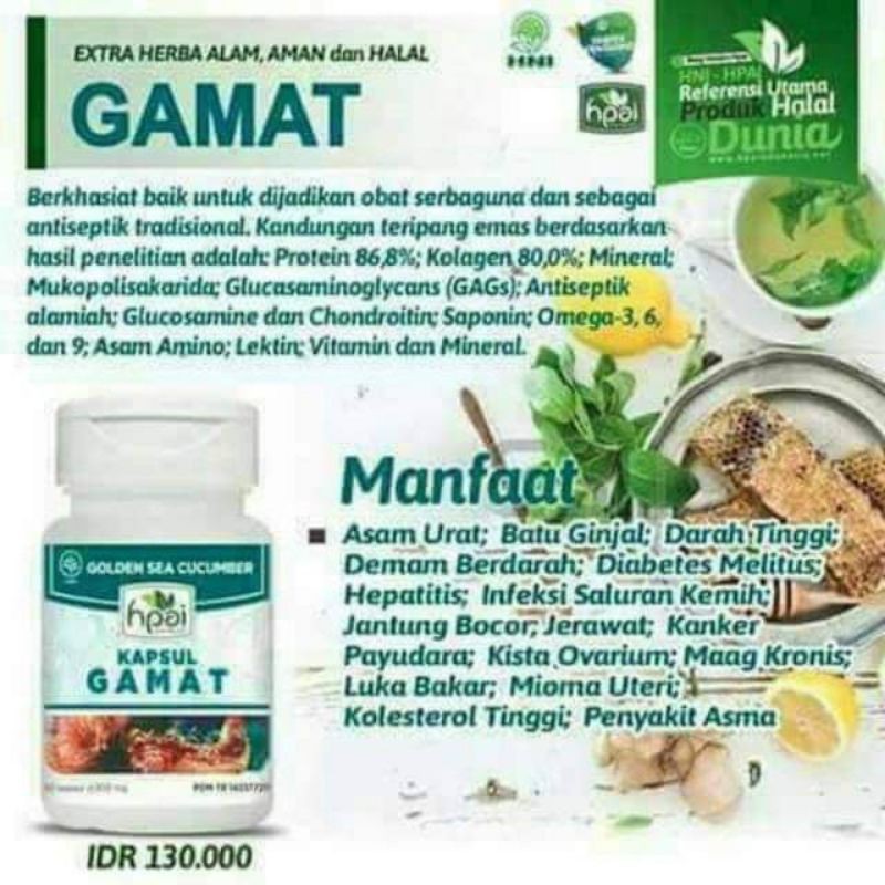 GAMAT HNI HPAI ORIGINAL