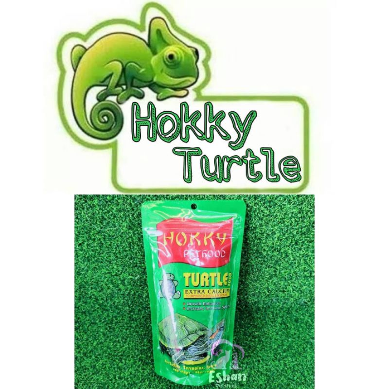 HOKKY TURTLE