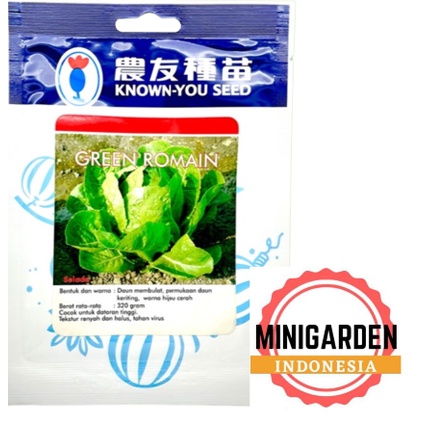 SELADA GREEN ROMAINE 20 GRAM PACK BESAR benih biji selada hijau butterhead lettuce bibit sayur f1 hibrida known you seed