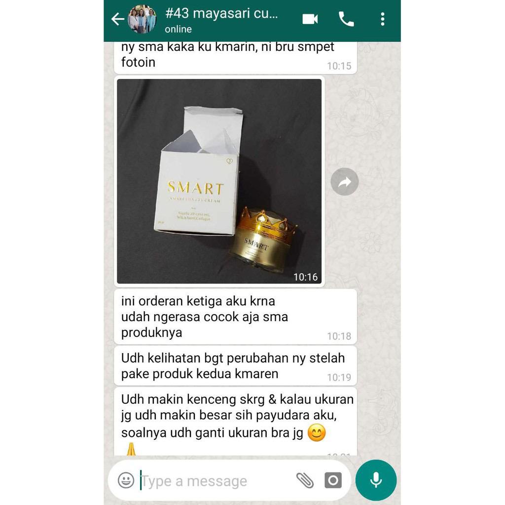 Smart Breast Luxury Cream Krim Pengencang Pembesar Payudara Original