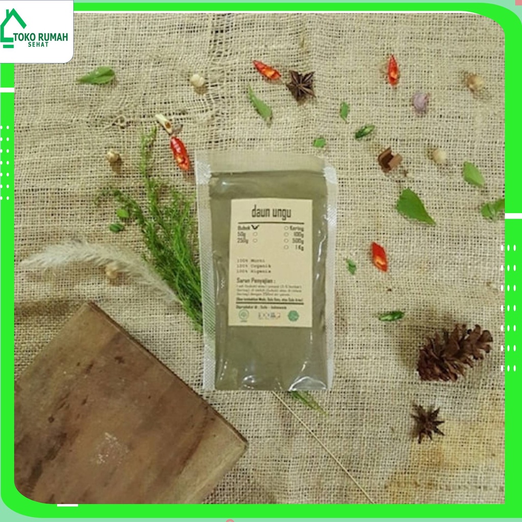 

DAUN UNGU BUBUK 250 GRAM - Graptophyllum Pictum - MURNI - JSR -