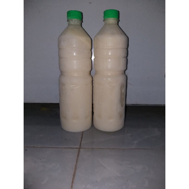 

kefir susu