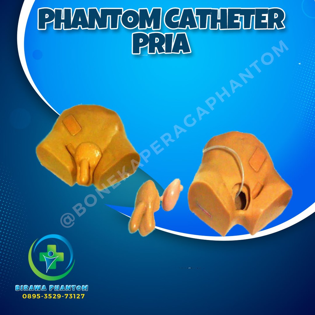 ⭐⭐⭐⭐⭐ BONEKA MANEKIN PHANTOM ALAT PERAGA CATHETER PRIA PCP-008