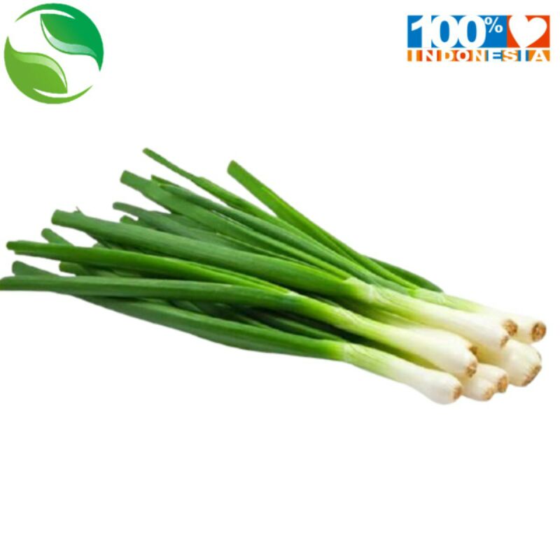 

Daun bawang ikat + seledri