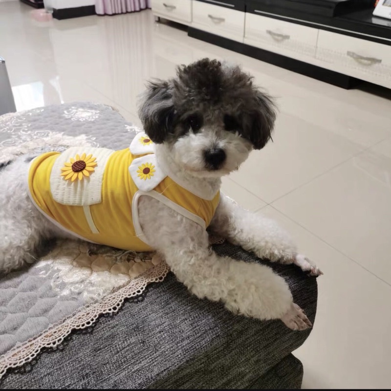 Sunflower Top for Dog Cat Baju Anjing Kucing Lucu