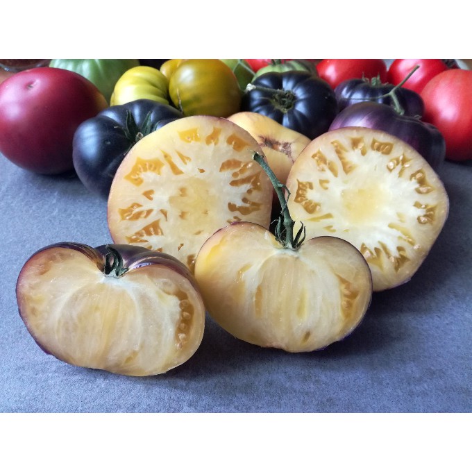 Benih Bibit Biji - Tomat Jumbo Sart Roloise Beefsteak Tomato Seeds