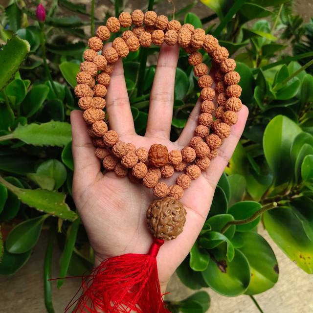 Tasbih jenitri 99 bandul biji besar rudraksha