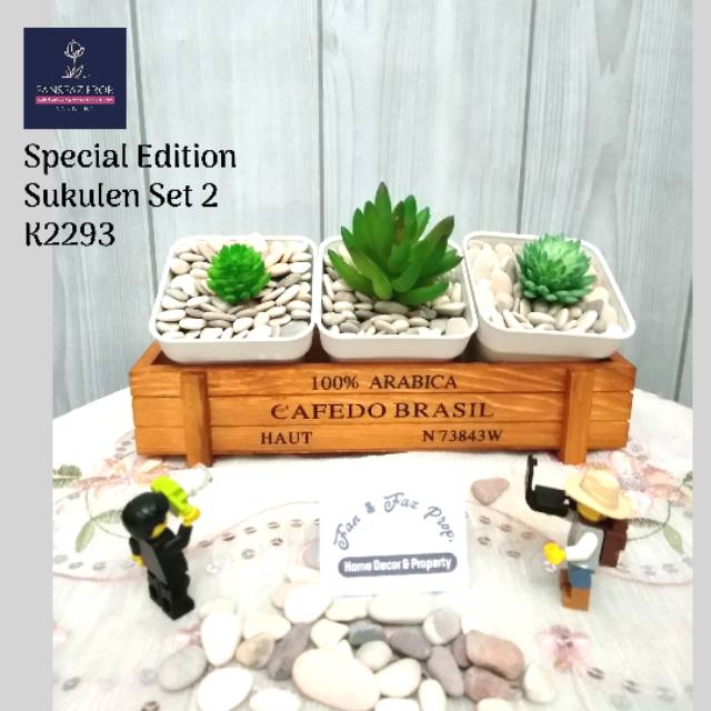 Artificial Succulent Set Pot Kayu Sukulen  Mini Imitasi 