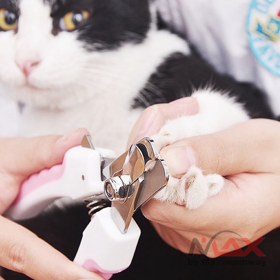 Gunting Kuku Anjing Kucing Kelinci plus kikir Profesional mudah akurat cepat Stainless Steel Professional Pet Cat Dog Nail Clipper Cutter Dog Stainless Steel Scissors Cat Toe Care Grooming Tools for Animals Pet Supplies Pet dog nail grinder Toe Care nail