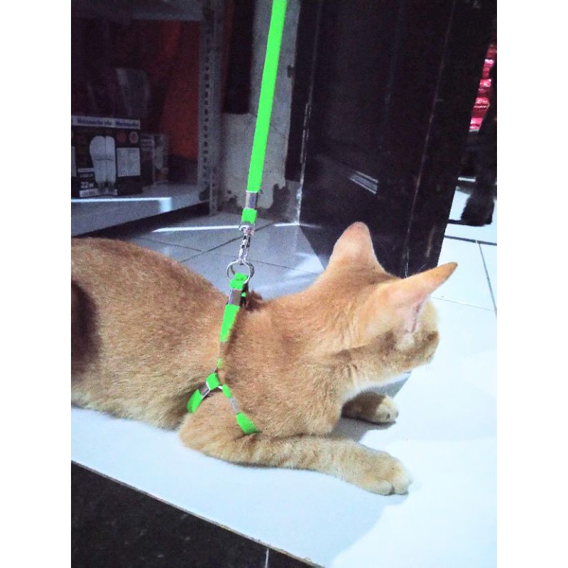 Tali Tuntun Harnes Kucing Anjing