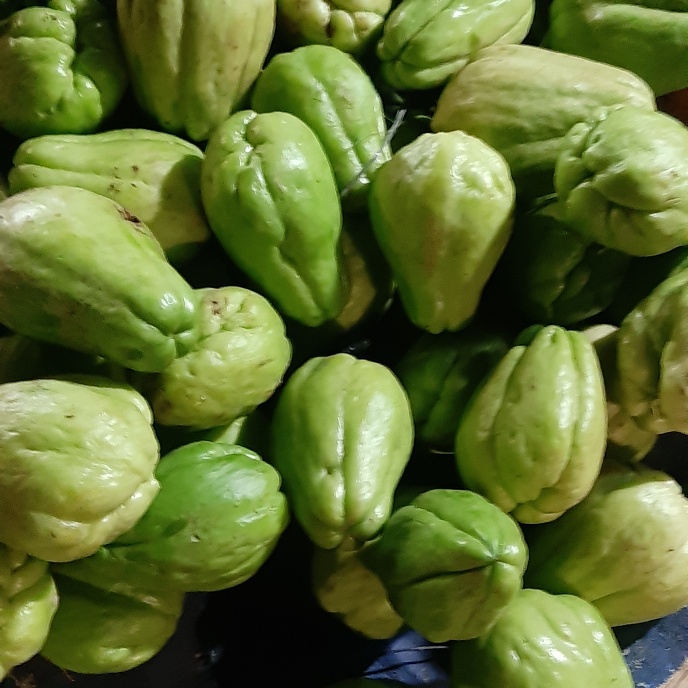 

Labu sayur 3 pcs