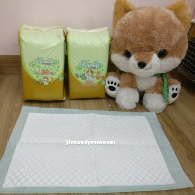 Underpad anjing / tatakan pipis / alas kencing /toilet hewan /dog toilet / potty training pads