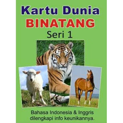 Promo Kartu Binatang Seri 1 Flash Card Bayi Murah Hewan
