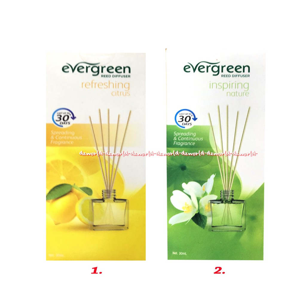 Evergreen Inspiring Nature Spreading Reed Disfuser Pewangi Stik