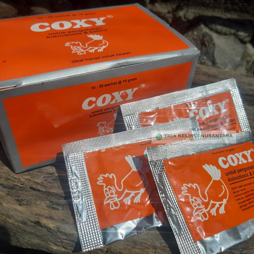 

Coxy 10 Gram