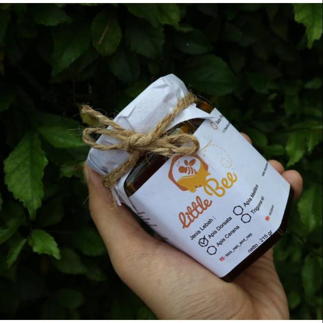 

Madu murni dorsata (madu odeng)