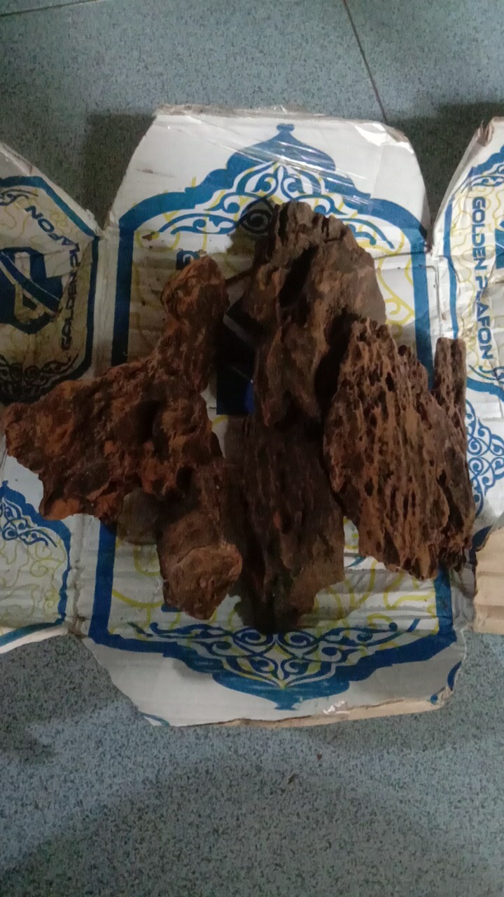 Kayu Rentek Ukuran S