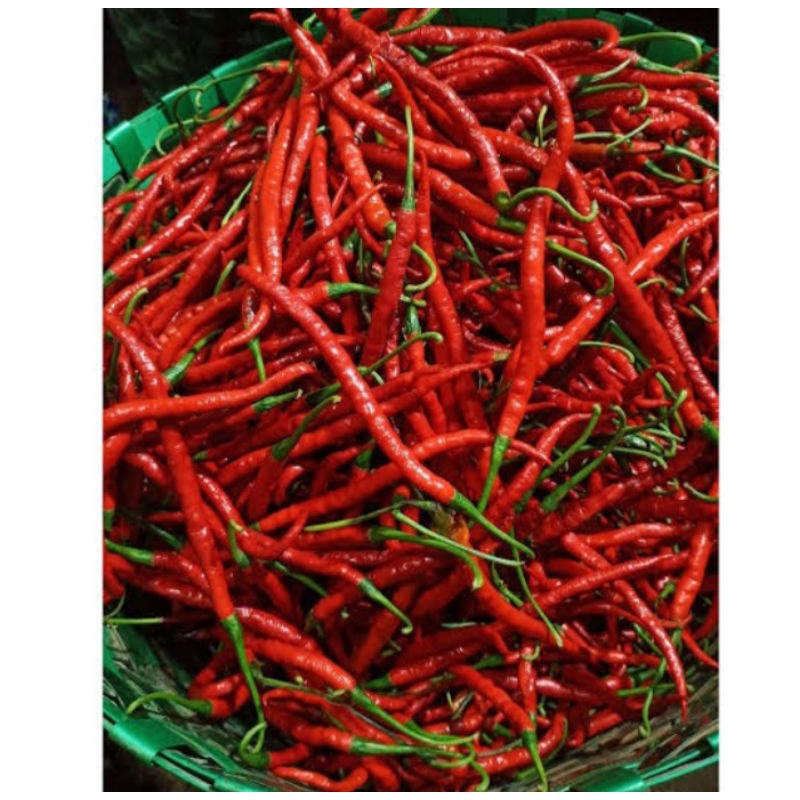 

cabe kriting merah fresh 500gr