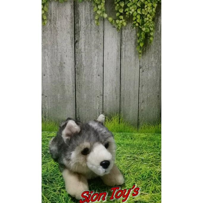 

14.84Ftgrdujh- Boneka Hewan Anjing Siberian Husky Cantik -Toko-Boneka.